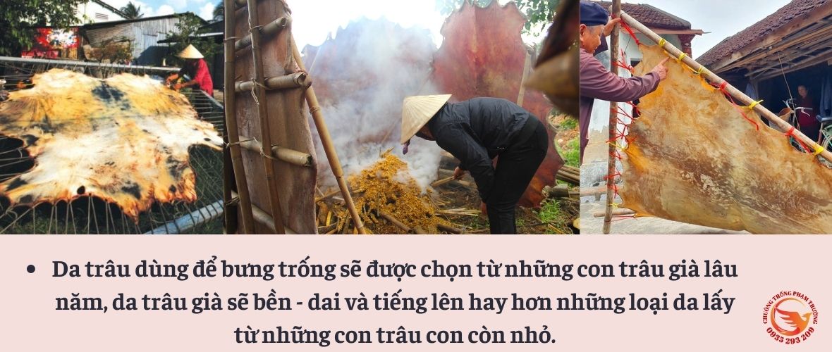 da trâu dùng để bịt trống bát nhã